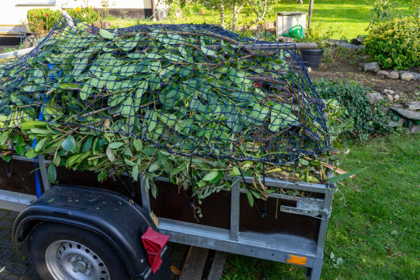 Best Dumpster Rental Services  in Skidway Lake, MI